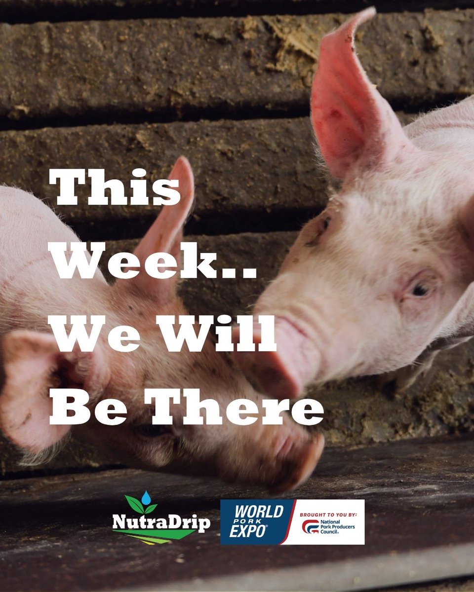 NutraDrip's tweet photo. This week, we’ll be in Des Moines for World Pork Expo.
From the barn to the field, NutraDrip helps operations manage water, nutrients, and manure more efficiently.

We’ll be talking:
• manure separation systems
• pit aeration
• nutrient management
• subsurface drip irrigation (SDI)
• irrigating the crops feeding livestock operations

If you’re looking for ways to improve efficiency, move nutrients differently, or get more value from your manure and water systems — come visit Booth #V701.

Register here: https://t.co/PeRMNyHQyH

#WorldPorkExpo #ManureManagement #PigFarming #SubsurfaceDripIrrigation #AgTech
