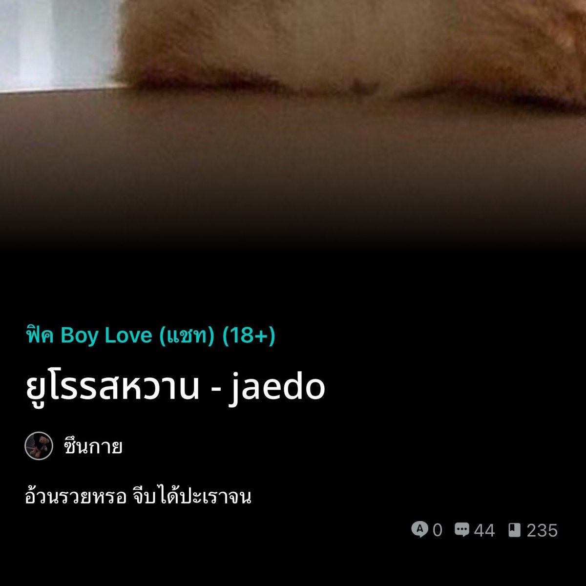 กาย (ᓀ‸ᓂ) tweet media