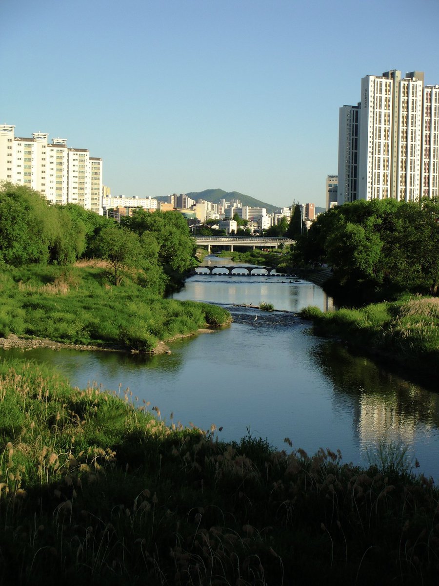 여름 tweet media