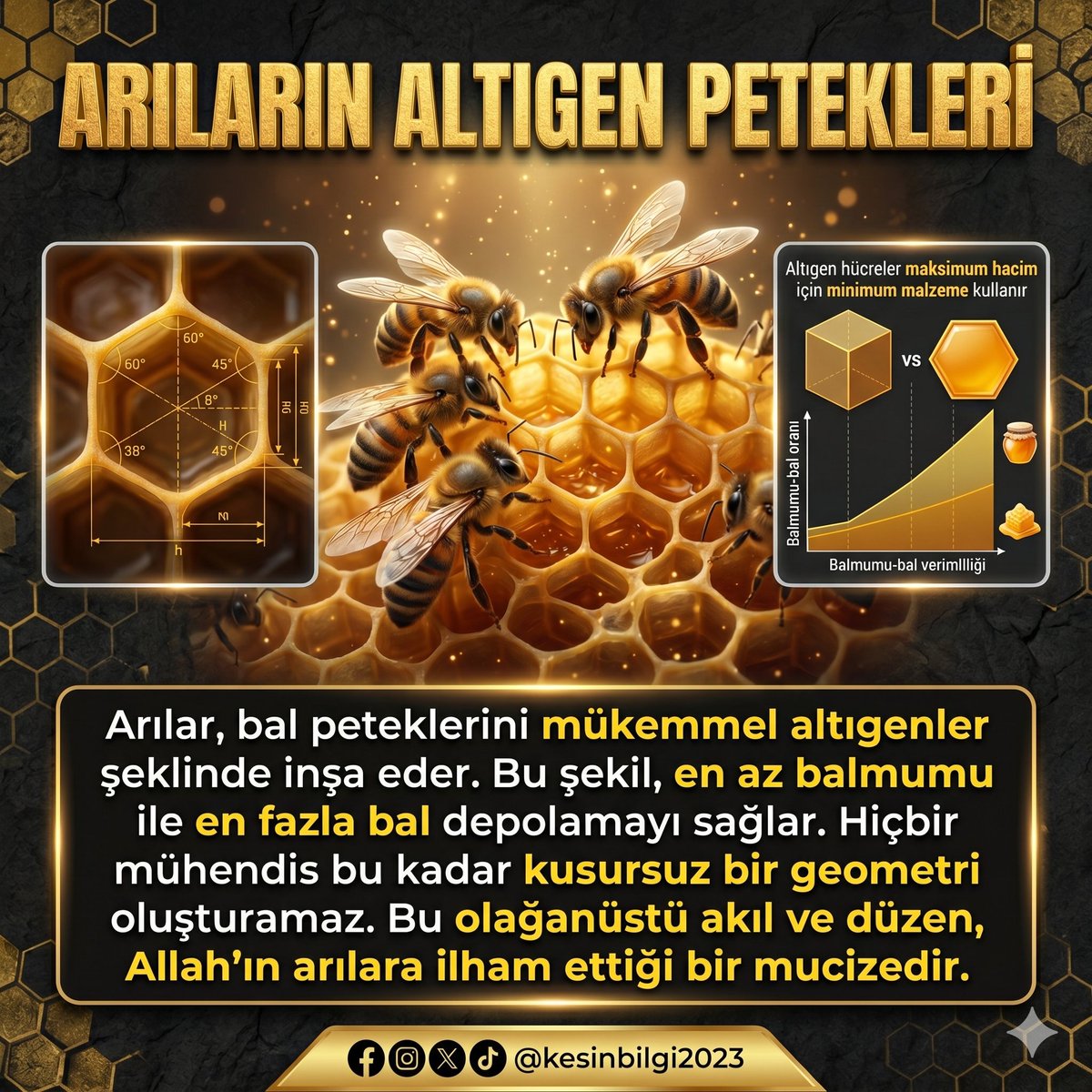 kesinbilgi2023's tweet photo. Arıların Altıgen Petekleri

Arılar, bal peteklerini mükemmel altıgenler şeklinde inşa eder. Bu şekil, en az balmumu ile en fazla bal depolamayı sağlar. Hiçbir mühendis bu kadar kusursuz bir geometri oluşturamaz. Bu olağanüstü akıl ve düzen, Allah’ın arılara ilham ettiği bir mucizedir.