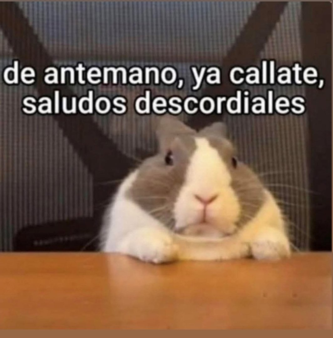 WrousseM's tweet photo. @pambanx Nomás hablan porque tienen hocico y un celular a la mano jajajaja TELOSICO https://t.co/xbwq32pMsq