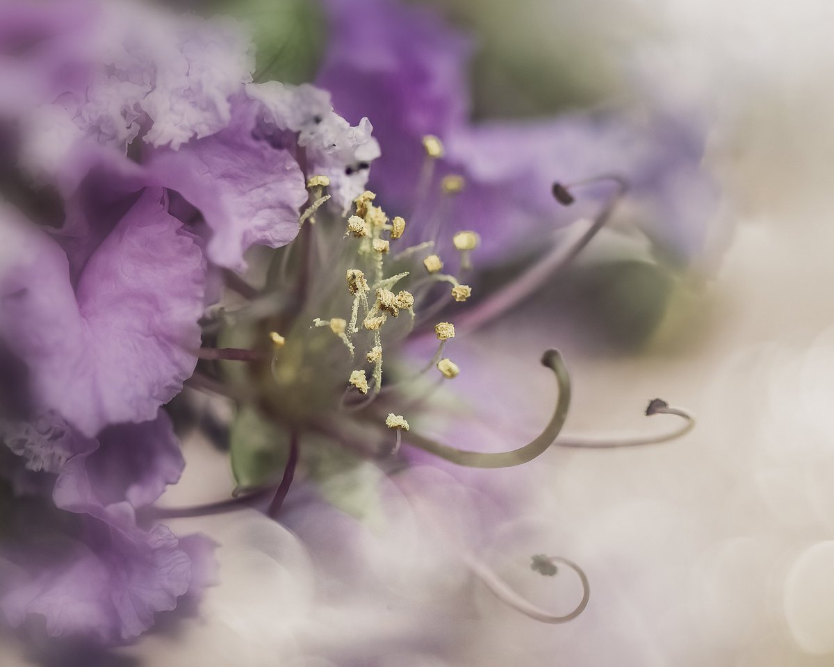 Tina Quillen Photography tweet media