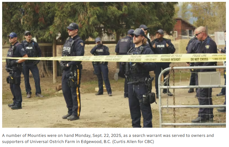derrick tweet media