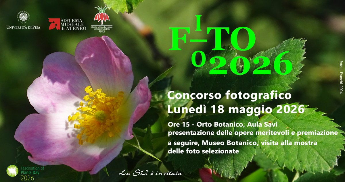 SMA_Unipi's tweet photo. International Museum Day con i musei SMA
👉https://t.co/6WfI5PE905
@icom_italia 
@Unipisa
@Orto_unipi
@Dip_Bio_Unipi
@PisaTurismo
@PisaNews
@TerrediPisa
@IlTirrenoPisa
@qn_lanazione
@PisaToday
#foto #seminario #visitaguidata https://t.co/sTMsMoHoNf
