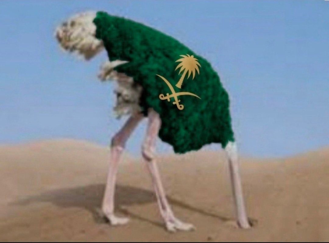 Amead tweet media