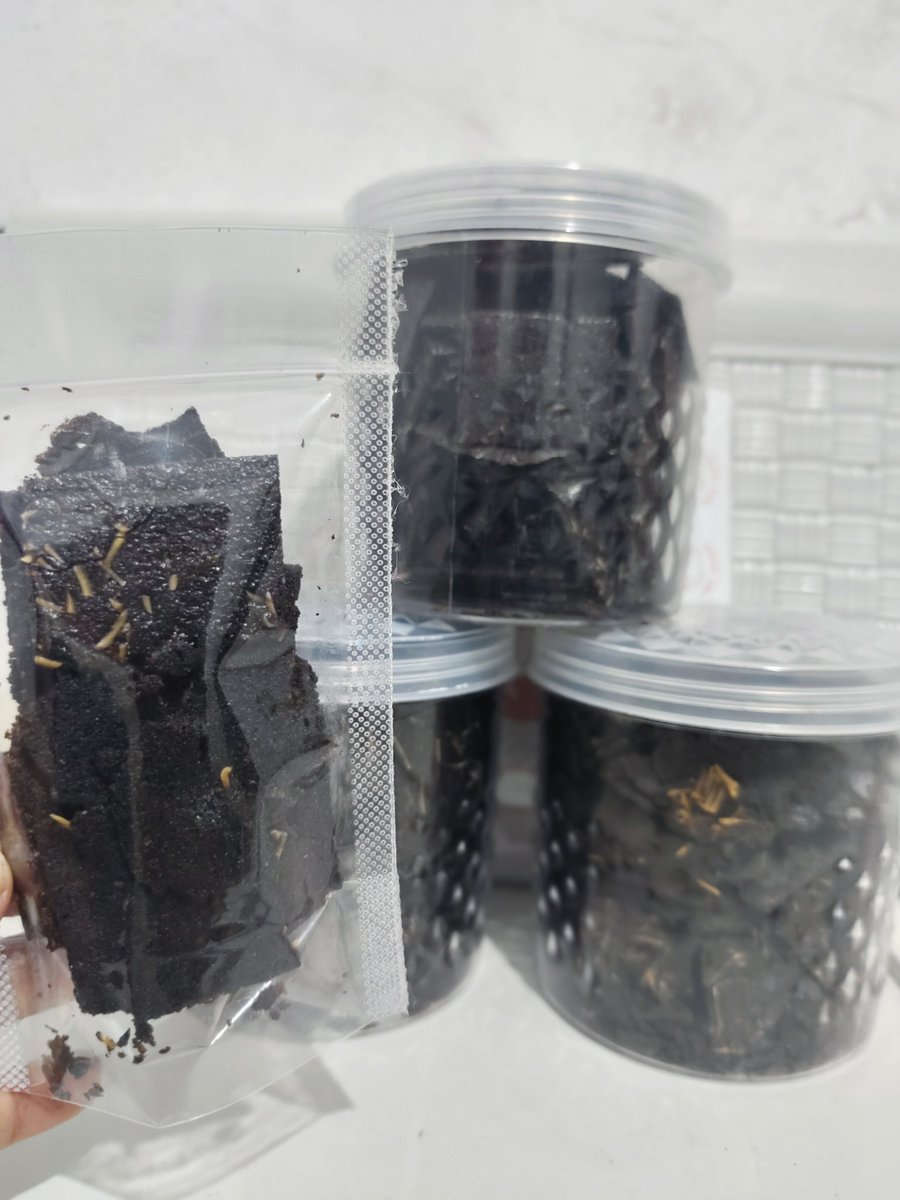 NoviSasmita_'s tweet photo. Mau Nawarin produk bikinan sendiri siapa tau di X ada yg minat.. Tabungan nipis buat modal lahiran euy bentaran lagi.. Yuk bantu larisin https://t.co/oGDguJiOe8 
#umkm #bantularisin #browniskrispi https://t.co/jz6FtWumTp