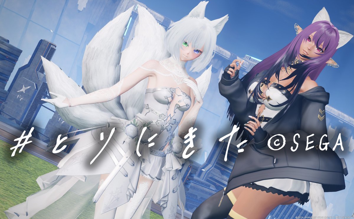 卯蘭PSO2NGS ship4　ship5(ｻﾌﾞ) tweet media