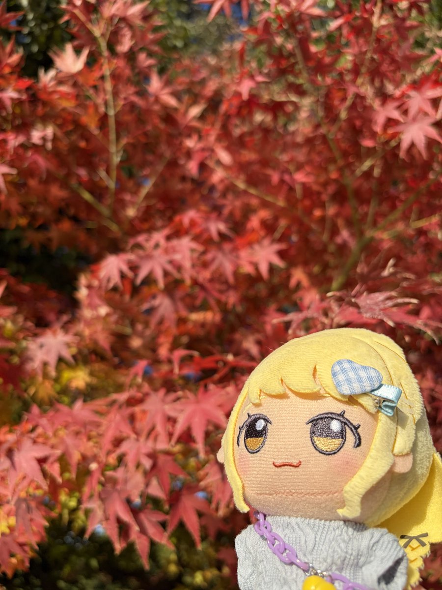 ItoP_nui's tweet photo. 見上げ角度しゅき https://t.co/4uYIGvoVcD
