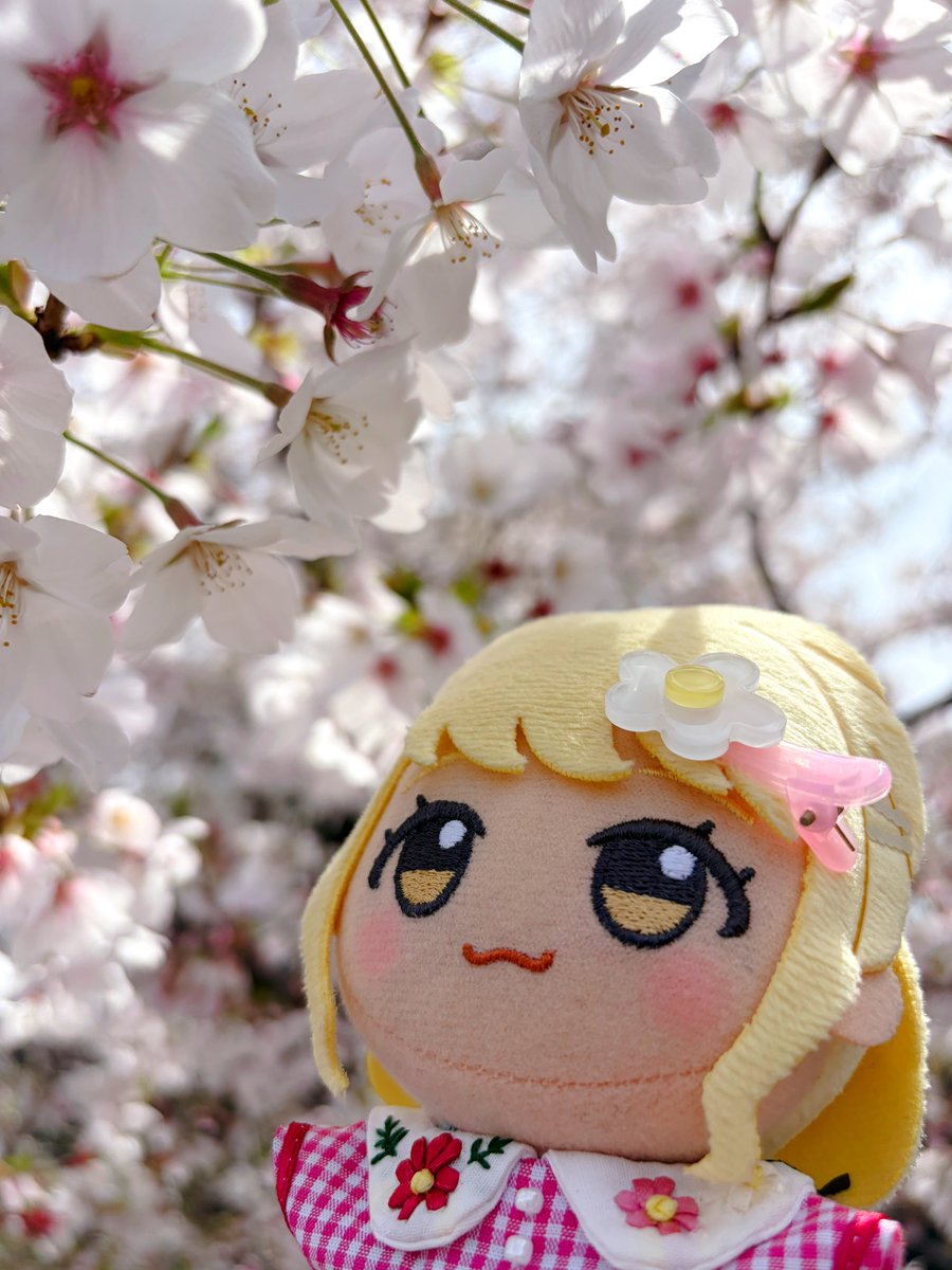 ItoP_nui's tweet photo. 見上げ角度しゅき https://t.co/4uYIGvoVcD