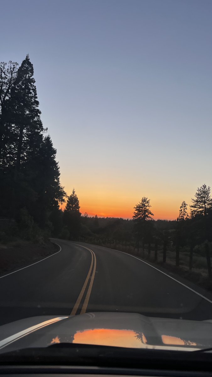 welltits's tweet photo. prototyping canopy and sunsets https://t.co/MjDhnV1giM