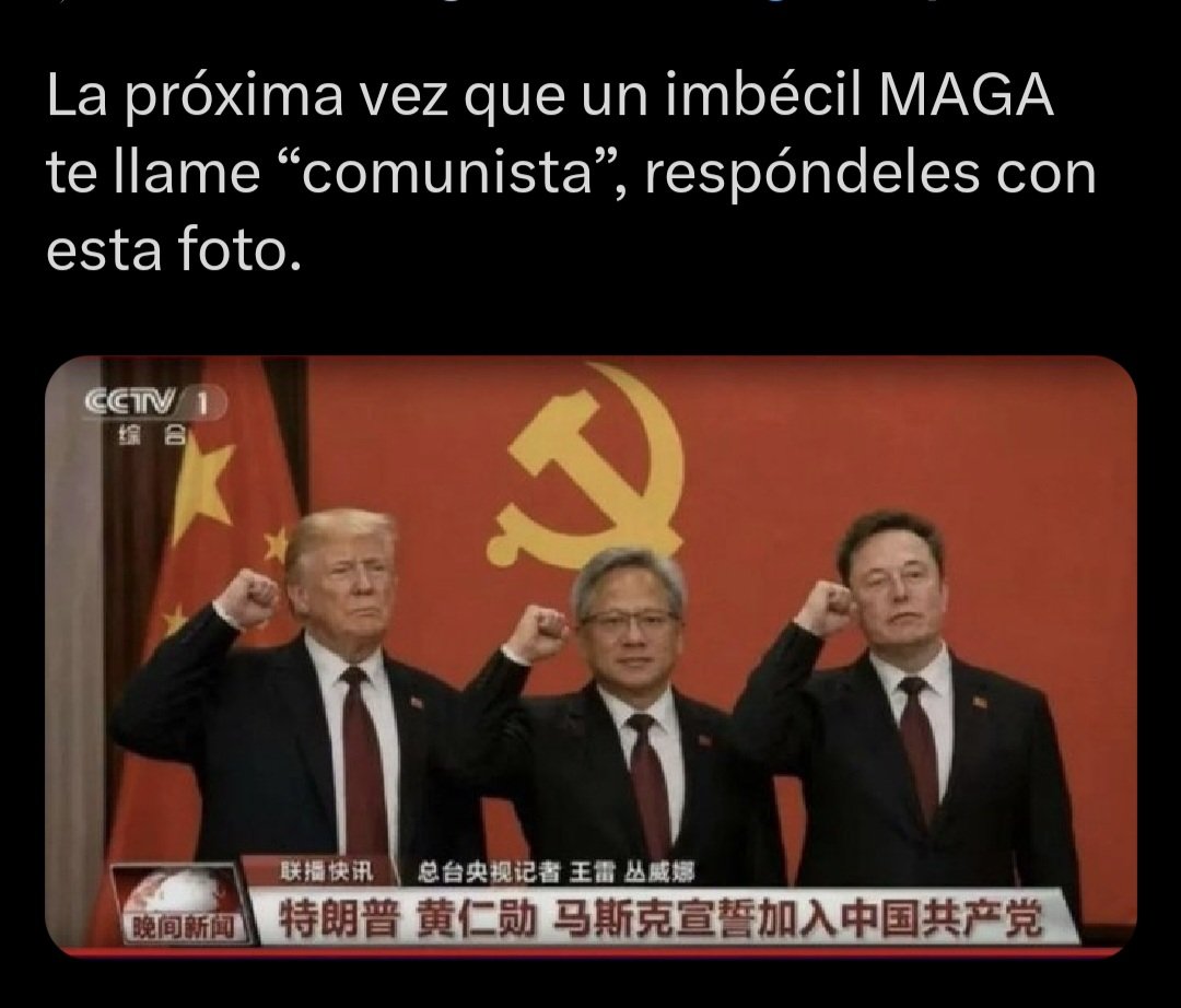 OSO AMOROSO tweet media