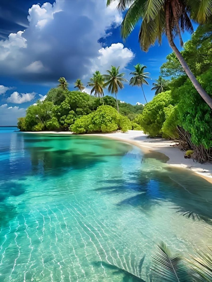 Sirus12597898's tweet photo. Friday Greetings💙🌴 https://t.co/HsSRU6unef