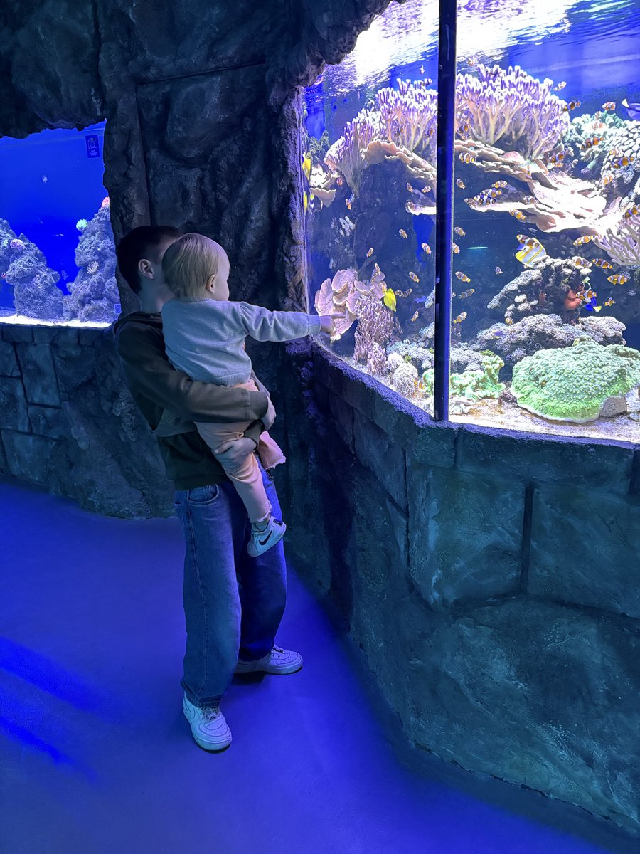 OlgaPatl's tweet photo. Today we went to the aquarium. We got an unbelievable amount of positive emotions and impressions. Solomiya, Seva, and I all absolutely loved it.

Solomiia reacted so emotionally, she kept running around, taking Seva by the hand, pointing at everything, coming closer to the fish and stretching out her little hand to them like, “Come here, let me hold you.”

It honestly charged us all up emotionally so much ❤️
