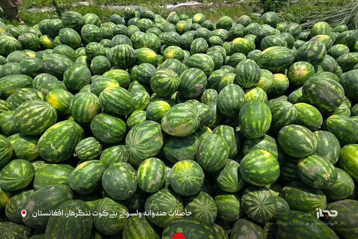 HIJAZ Persian tweet media