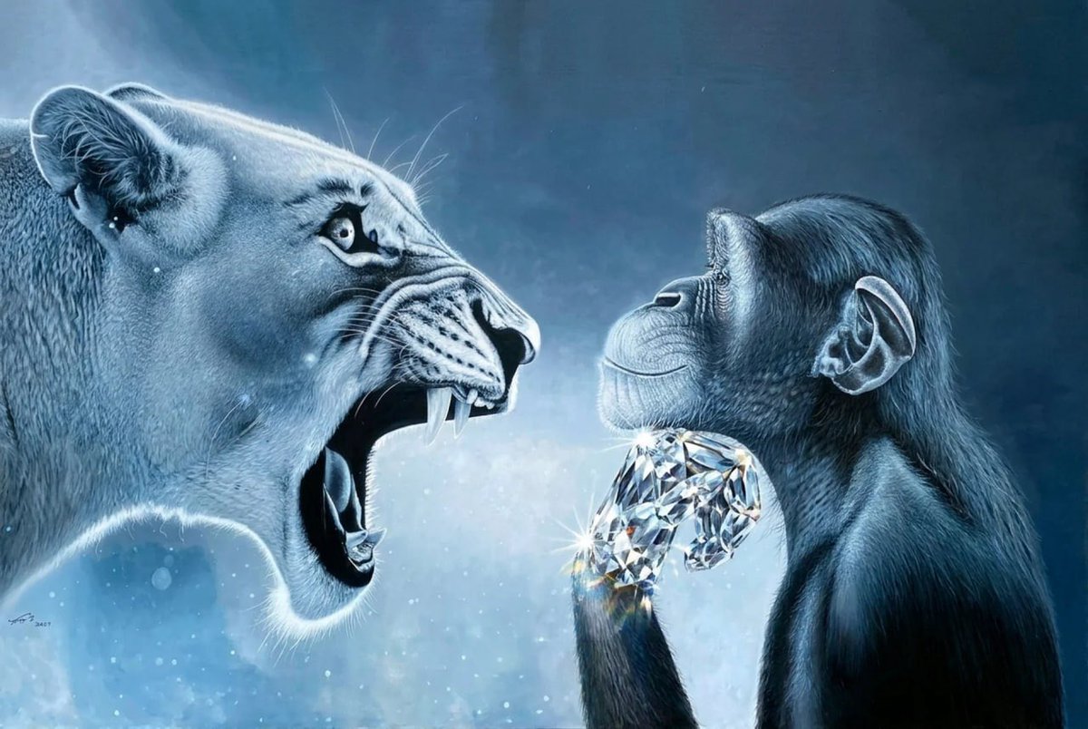 Diamond_Surfer_'s tweet photo. “BUT MAJORS ARE DUMPING AND MACRO ISNT LOOKING GOOD SER”

“TRADERS WILL SELL AND STABLE UP, THEY NEED TO PROTECT LIQUIDITY”

“FUD IS IMMINENT” https://t.co/A0lWRxEIIa