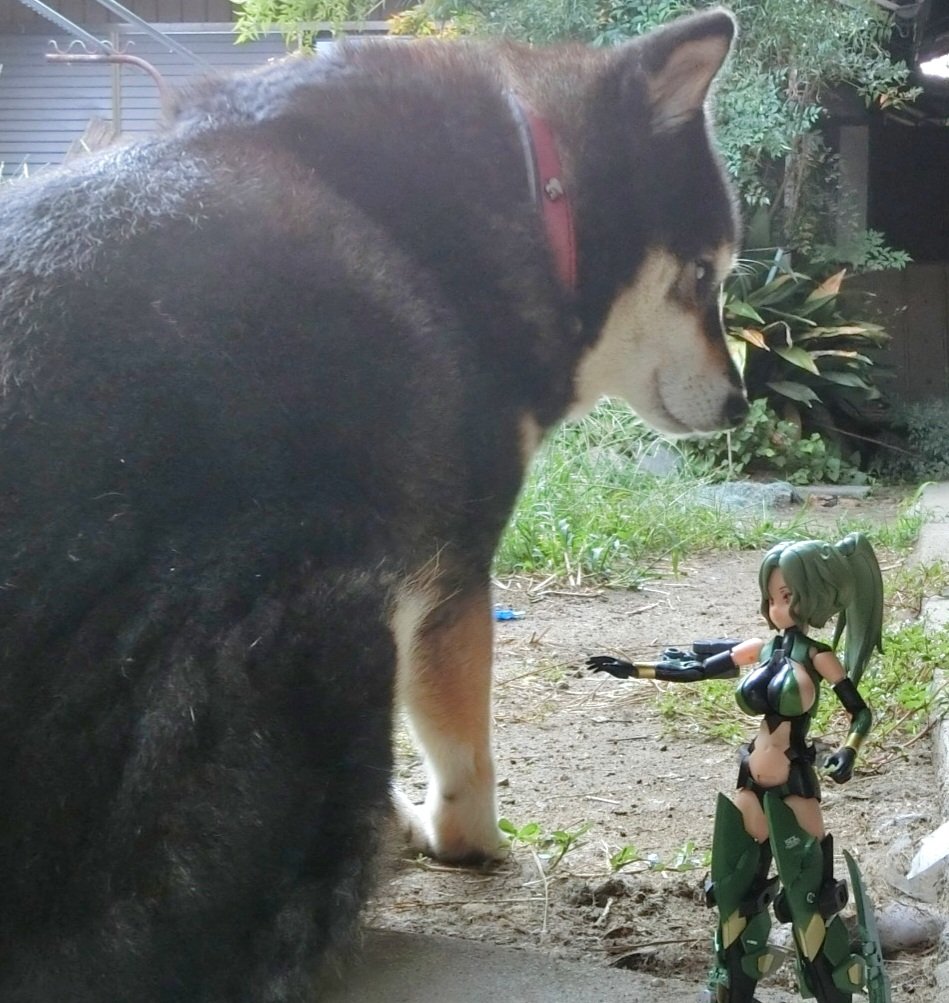 フラギイ (@fra_gille) / Posts / X