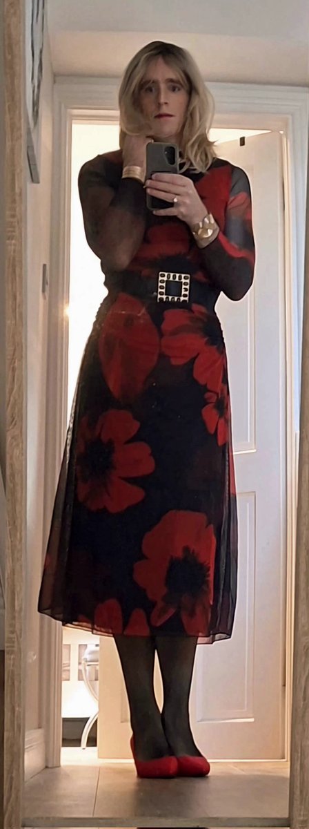 SuzanneSKane's tweet photo. New dress! #nonbinary #trans https://t.co/6Fptrdip5N