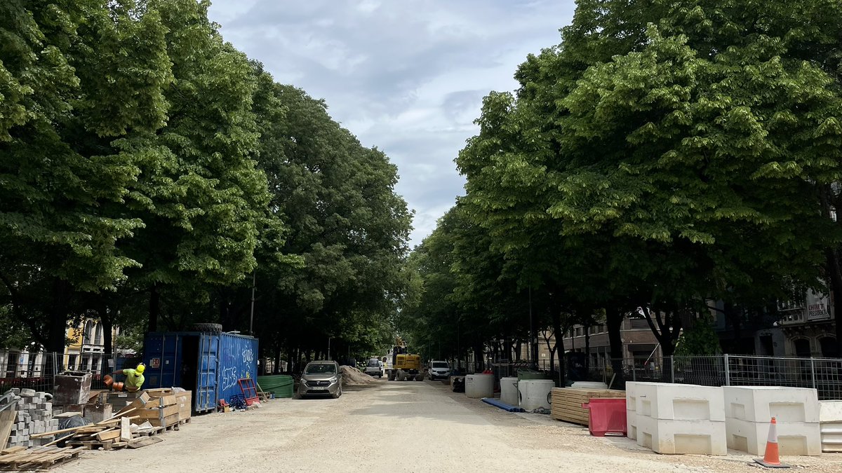 Treecologic | Asesoría de arboricultura en Aragón tweet media