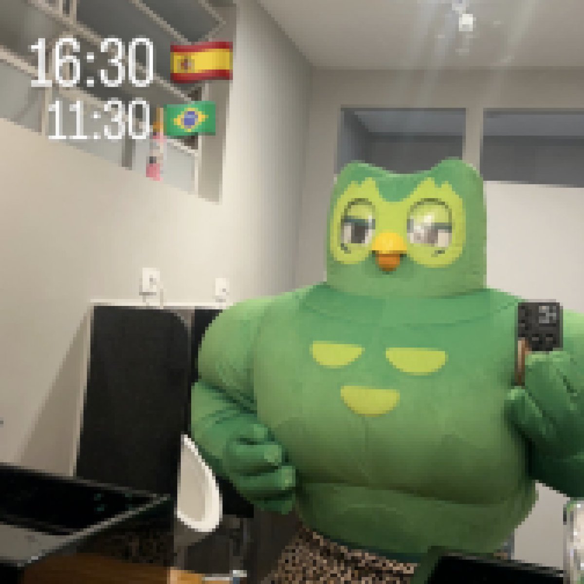 Duolingo Brasil 🇧🇷 tweet media