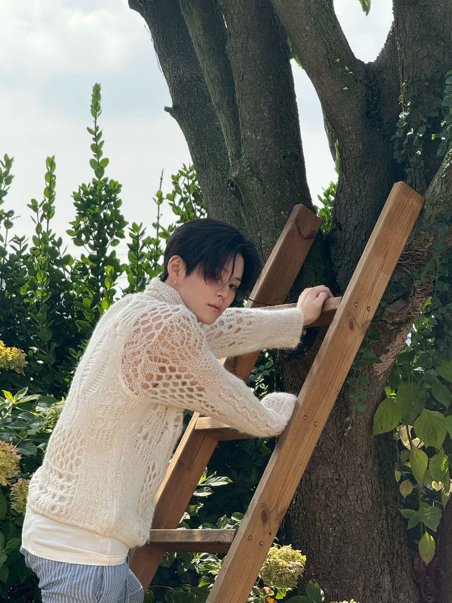 KIMJUNKYU THAILAND 🐨 tweet media