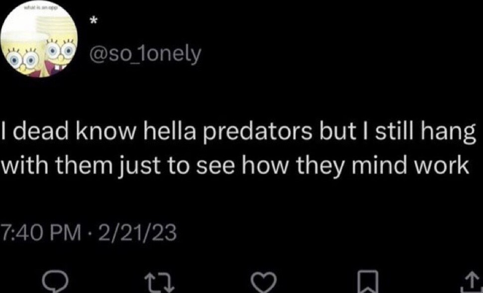 Kittycel tweet media