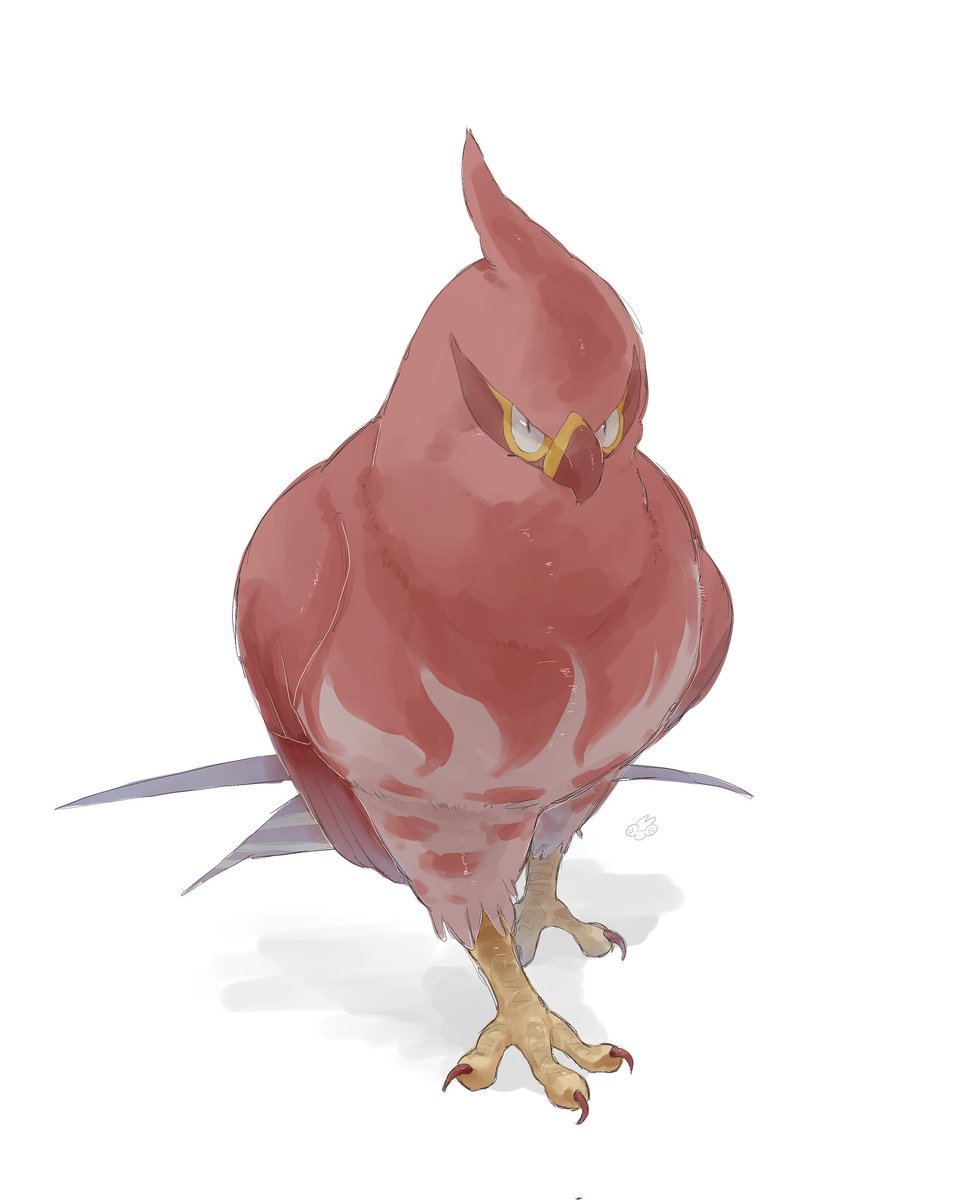 うに tweet media