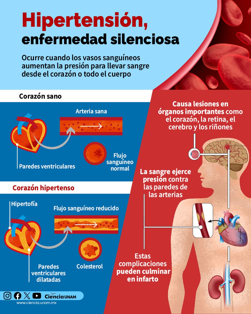 Ciencia UNAM tweet media