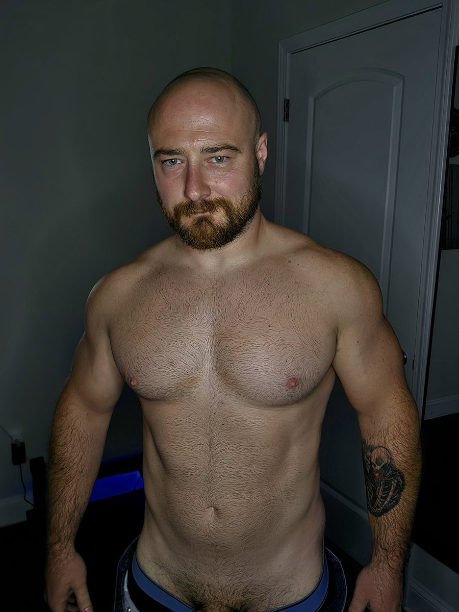 Bearded Gainz tweet media