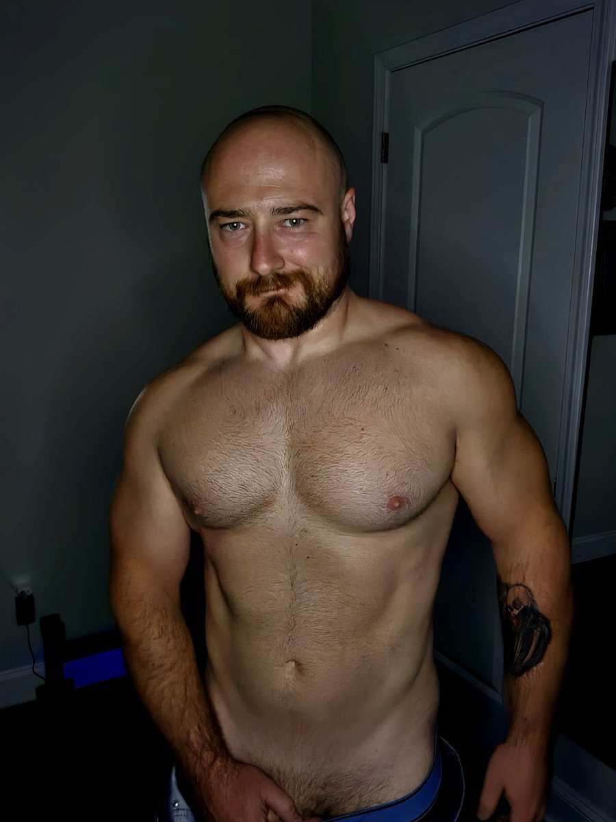 Bearded Gainz tweet media