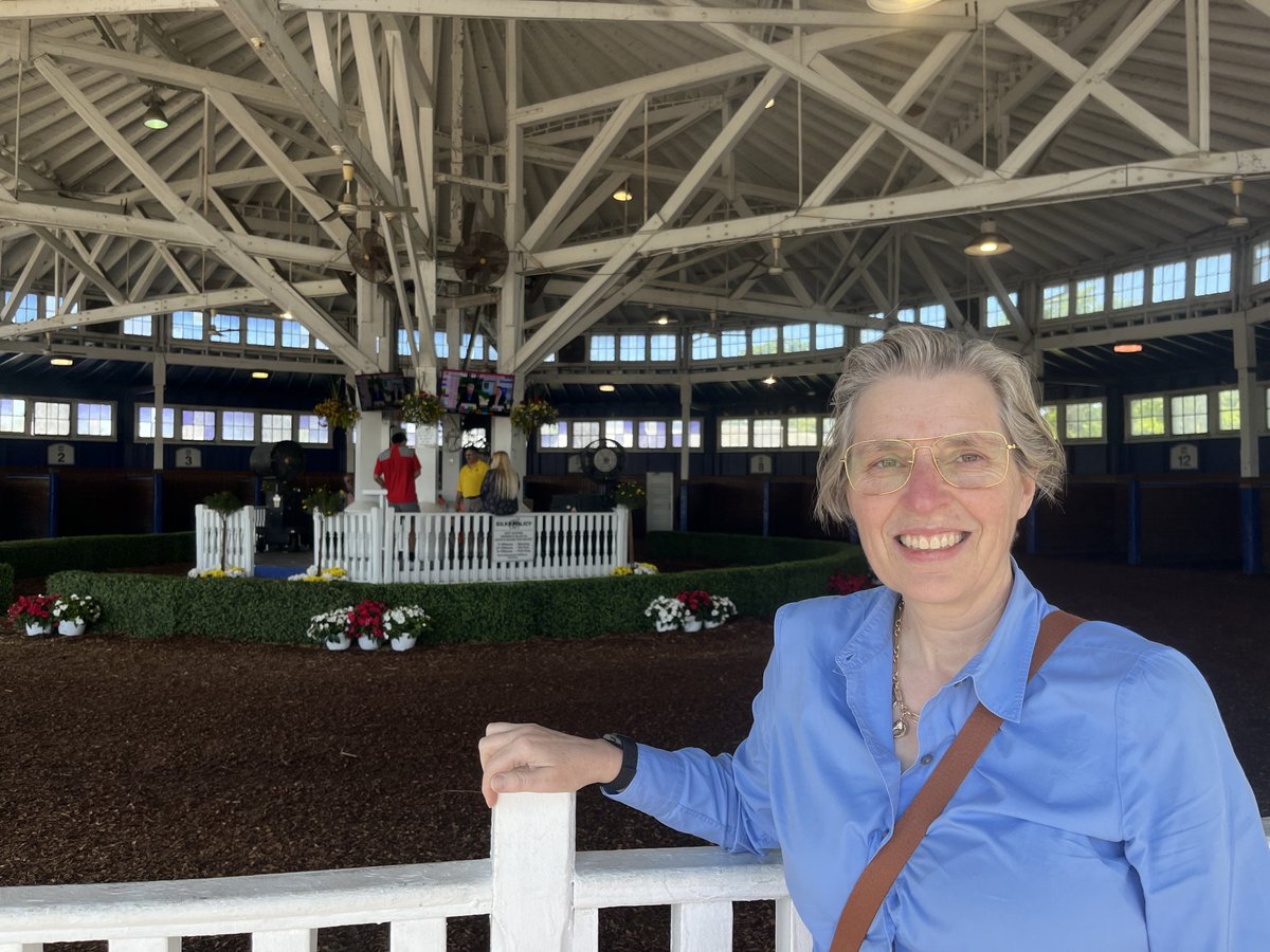 AREION Thoroughbreds tweet media