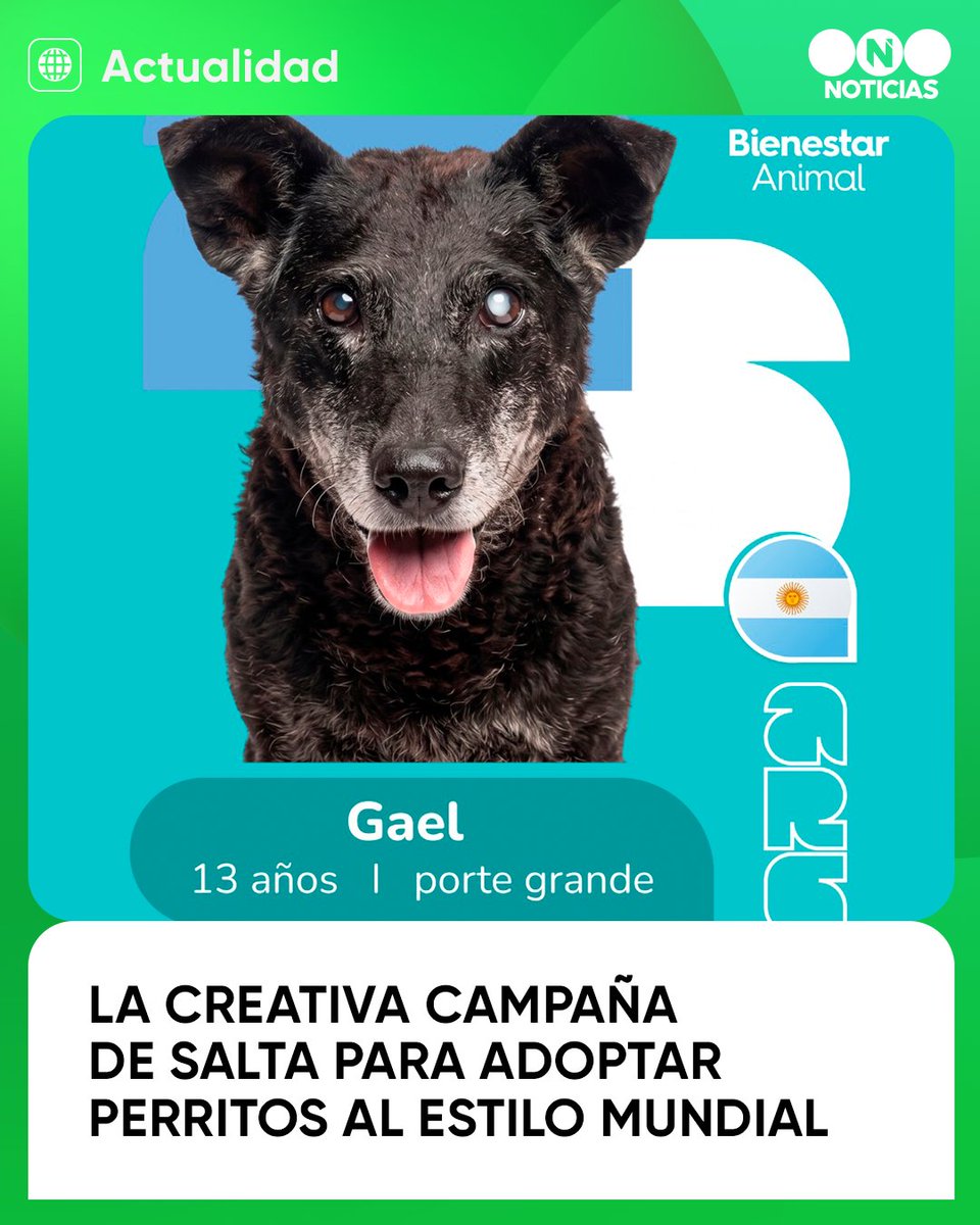 telefe tweet media