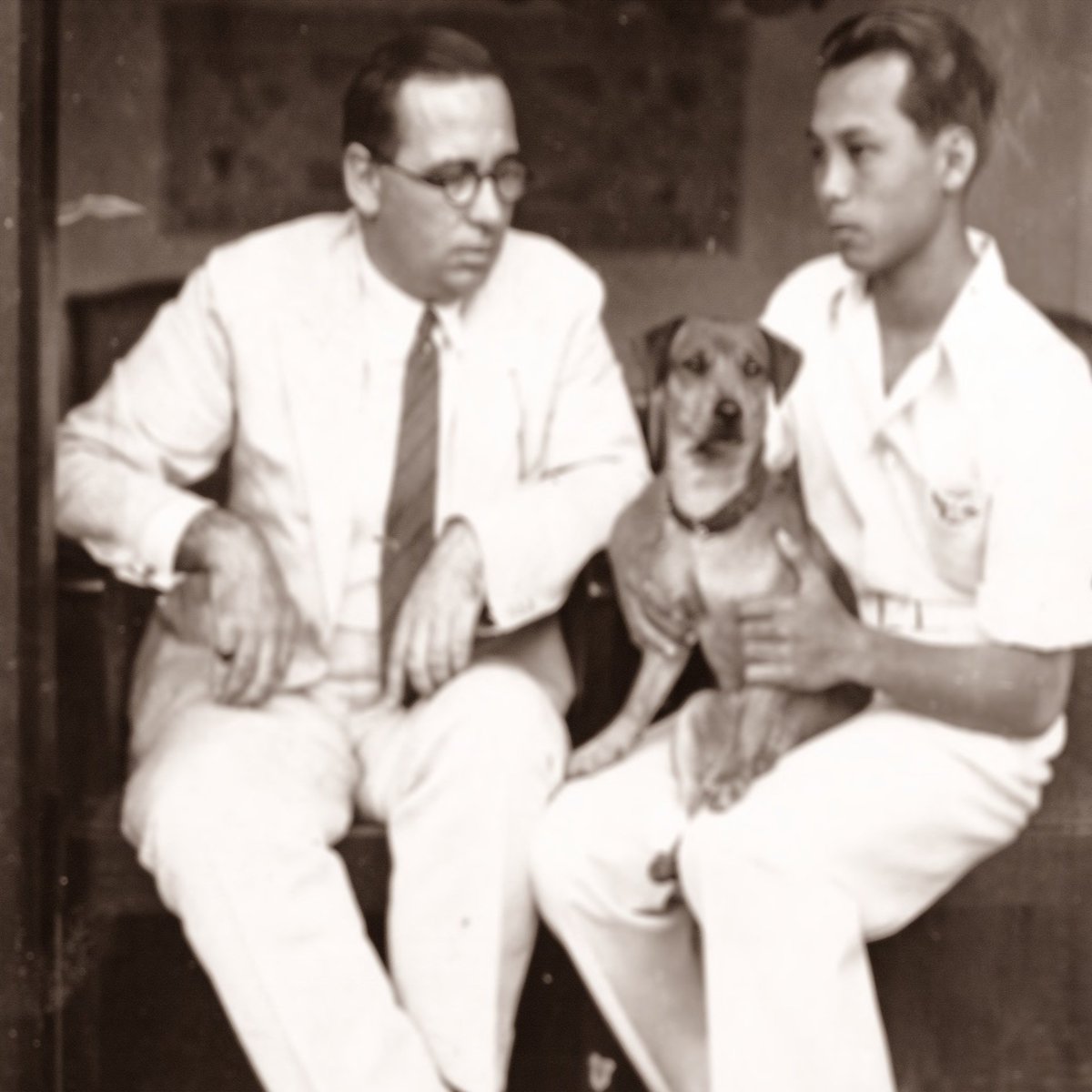 potretlawas's tweet photo. Beberapa potret serupa dari arsip kolonial. Nama hewan peliharaan dicatat, sementara pekerjanya dibiarkan tanpa nama.

Urut dari awal:
Nero anjing pemburu di Sawahlunto
Soelami anjing keluarga Kunst di Salatiga
Dicky anjing VR van Romondt di Jogja
3 pekerja di rumah van Romont https://t.co/sATOq4gJBF