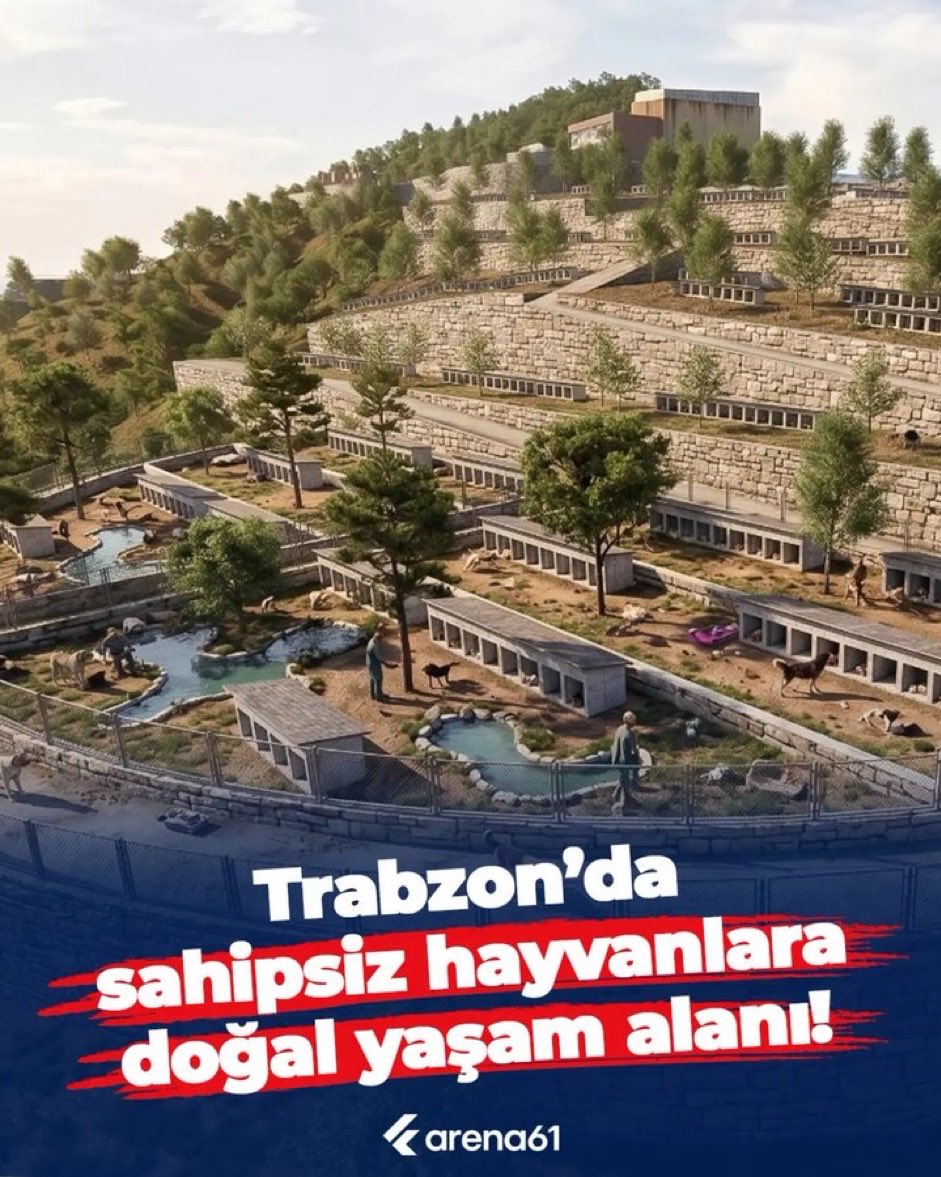 Prof Dr. Nebahat BULUT tweet media