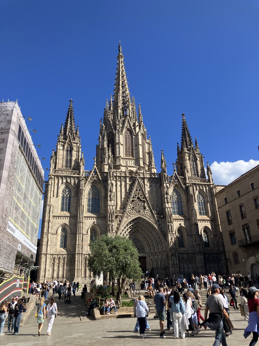 sevan_3031's tweet photo. スペインのバルセロナを観光中
本場のパエリアとタパスが想像以上に美味い https://t.co/WL4RPoCCIh
