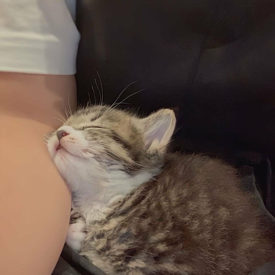 쟈깅 tweet media