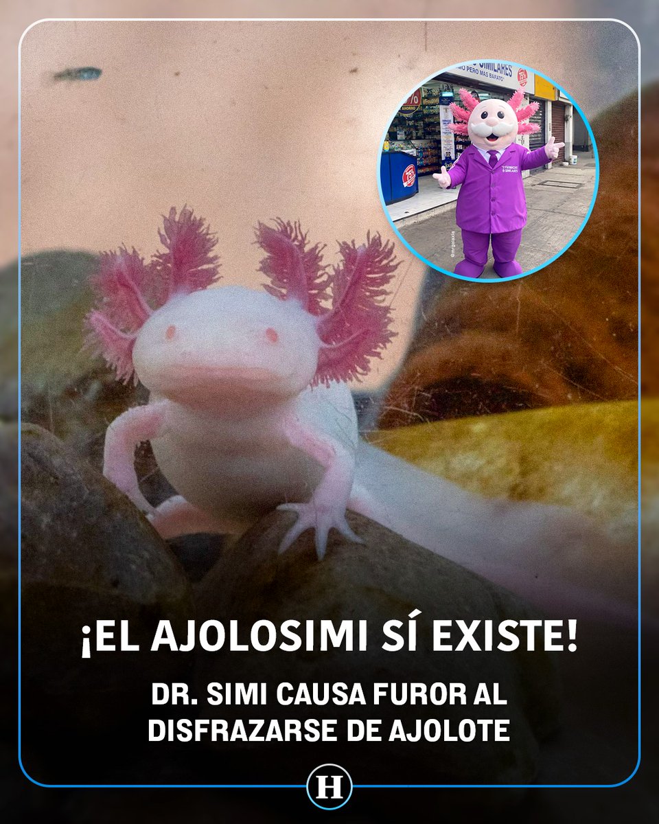 Allen Zigfrido Reloaded tweet media