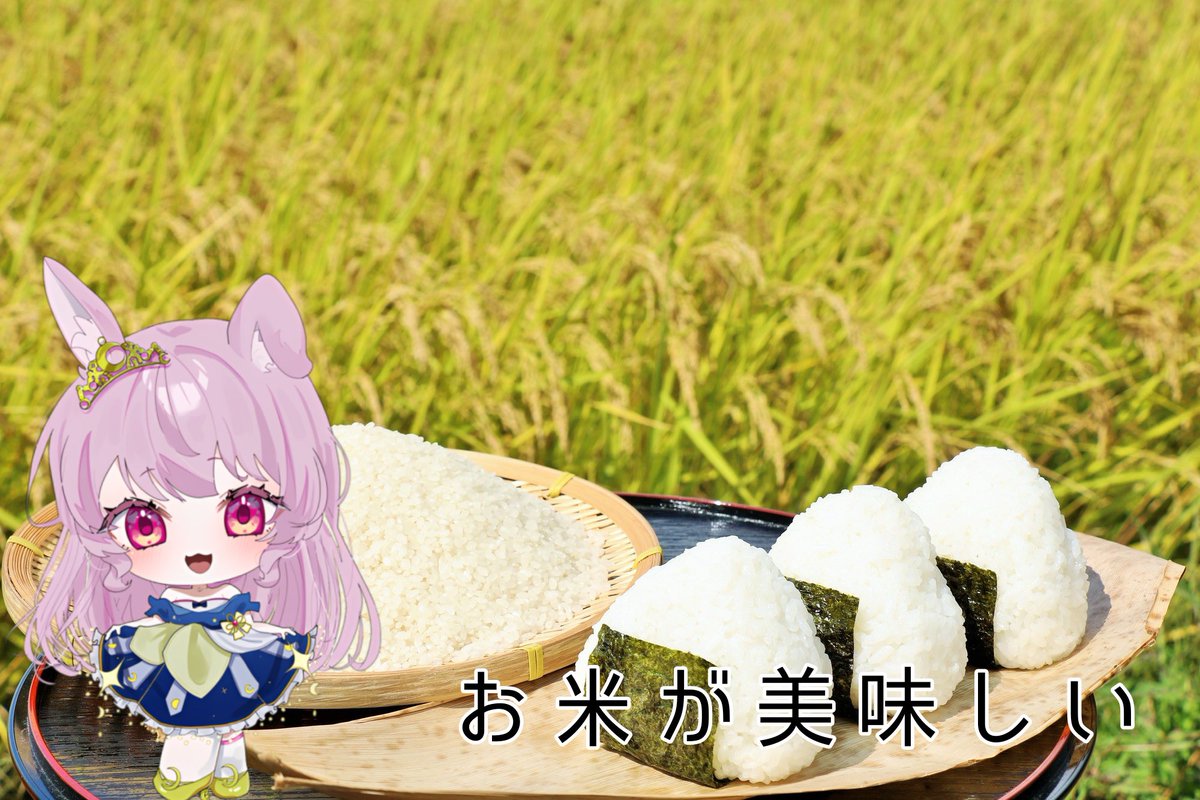 風月桜夜🌸🌙 tweet media