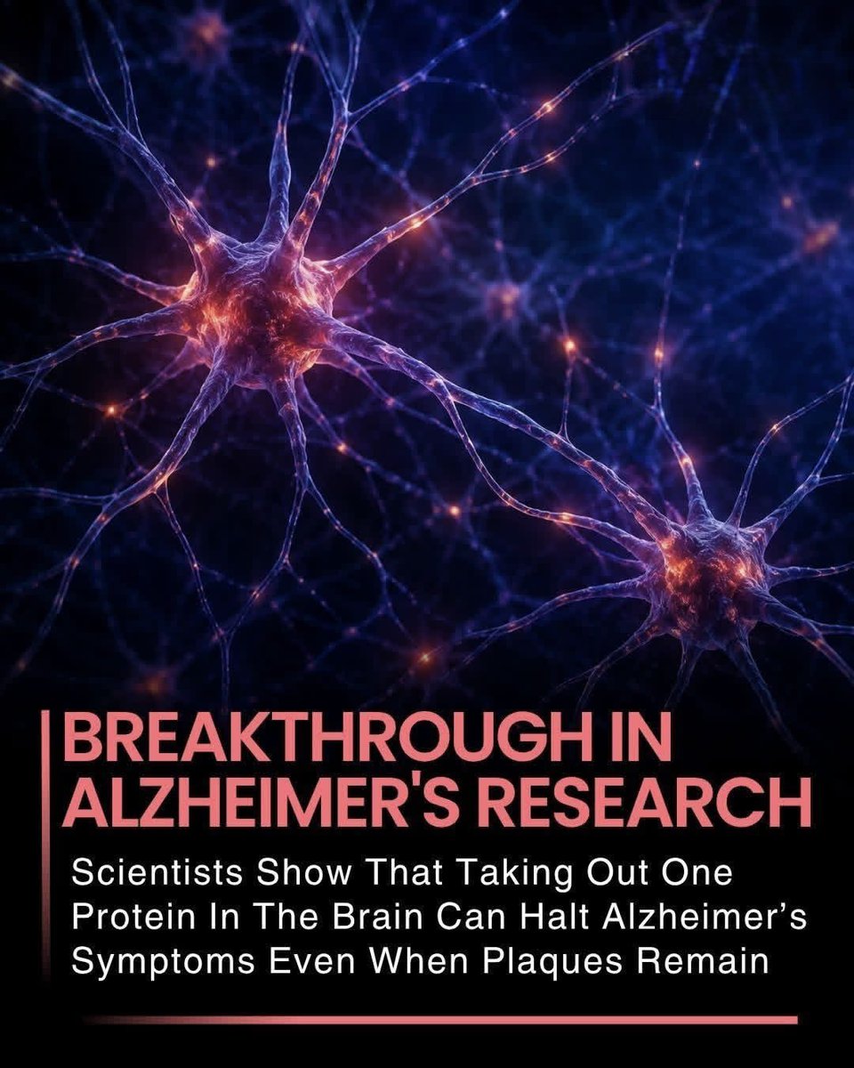 Next Science tweet media