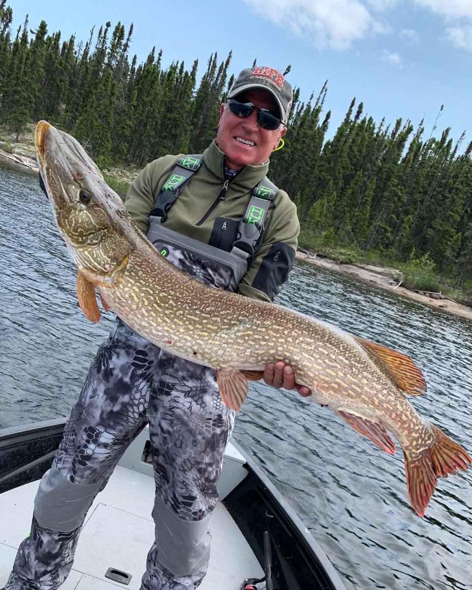 ArcticLodges's tweet photo. The gators are waiting... Are you coming to get them?🎣

➡️ https://t.co/s9IDjNrV5C

#reindeerlake #exploresask #trophyfishing #bigfish #pikefishing https://t.co/IwcCcTu9SS