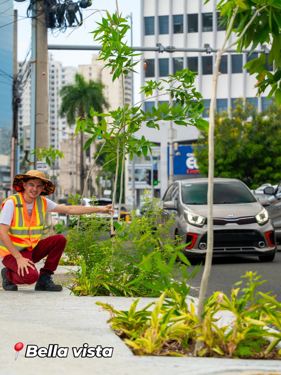 arquiterror's tweet photo. Más de 100 árboles🌳 han sido sembrados como parte de la recuperación de espacios públicos, gracias al valioso apoyo del Jardín Botánico Summit y los trabajos de @Panamaalcaldia 
Por una ciudad Jardín 🌳🌳🌳 https://t.co/x3fPrX5nIN