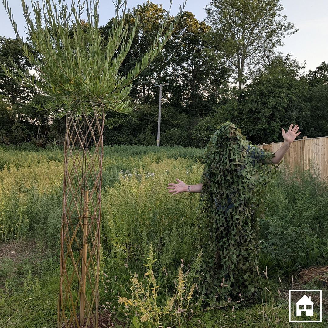 granddesigns tweet media