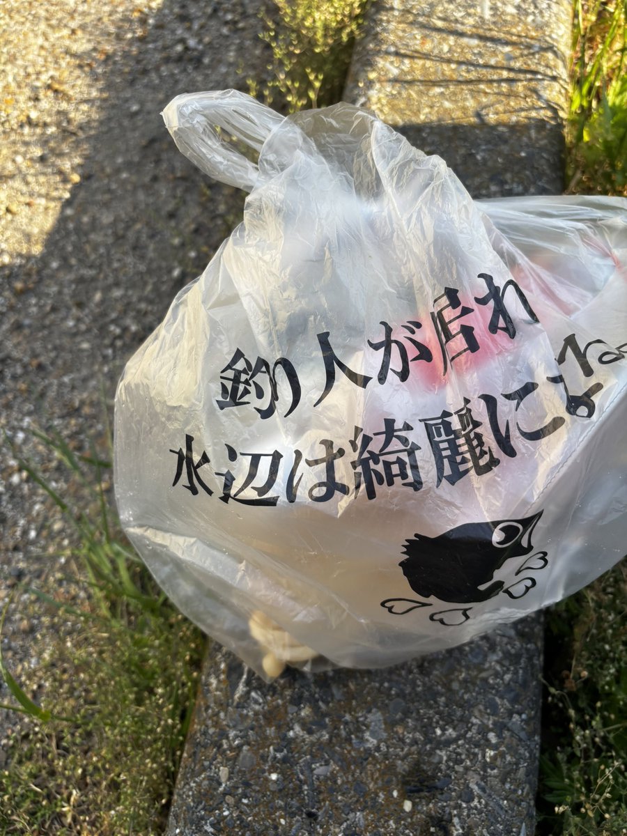 マンダリン tweet media