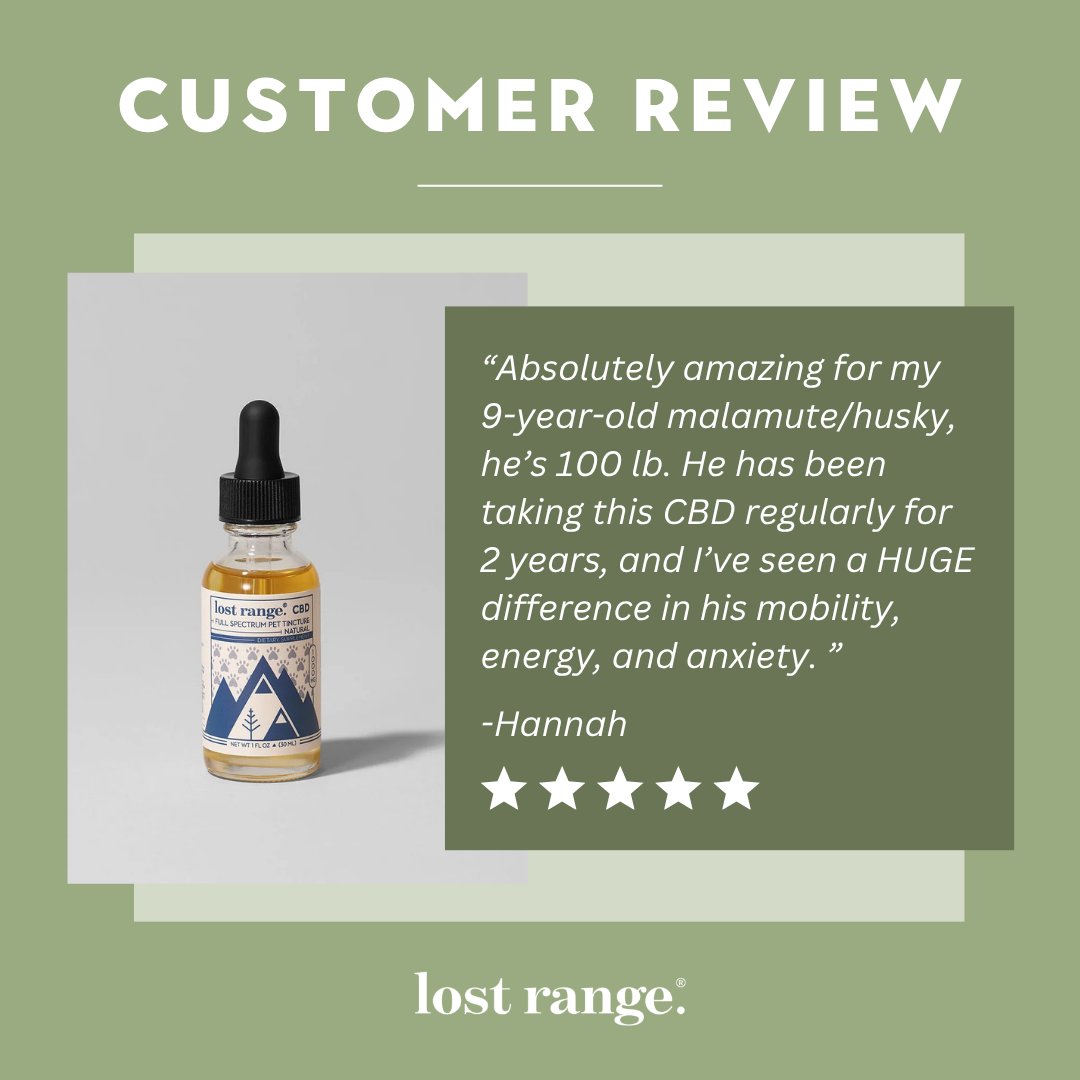 lost_range's tweet photo. We’re not kitten around—this wellness is worth wagging about 🐾💚

lost range.® Full-Spectrum #CBDPetTincture supports calm and whole-body wellness for dogs and cats with Colorado-grown hemp. 🎉 Enter our IG giveaway for a chance to win a year’s supply: see our page for details! https://t.co/PrT2Tuzapw