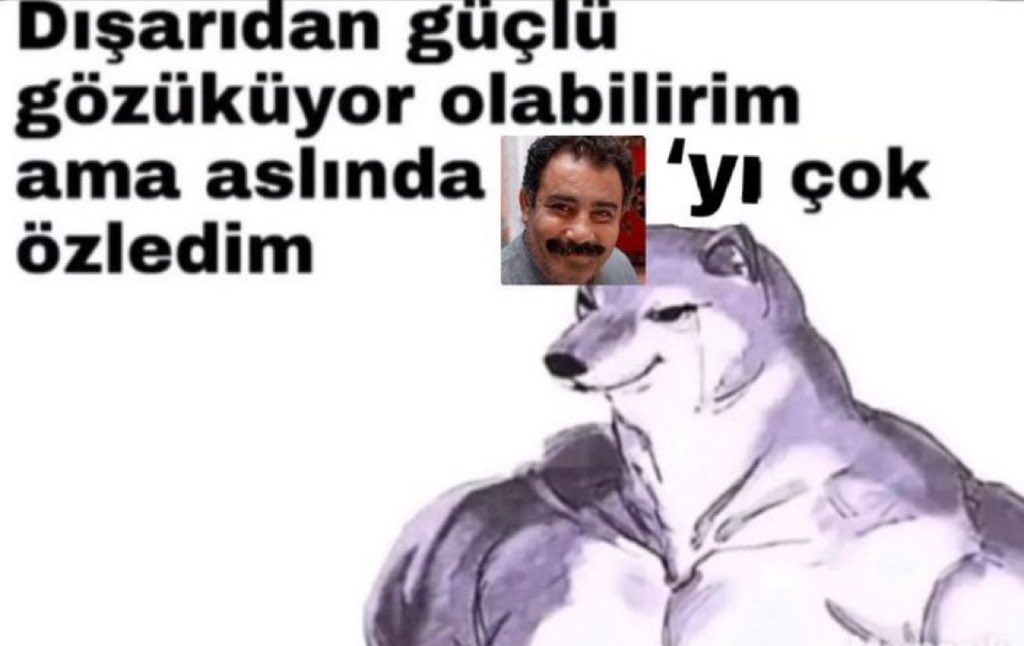 ßirîn tweet media