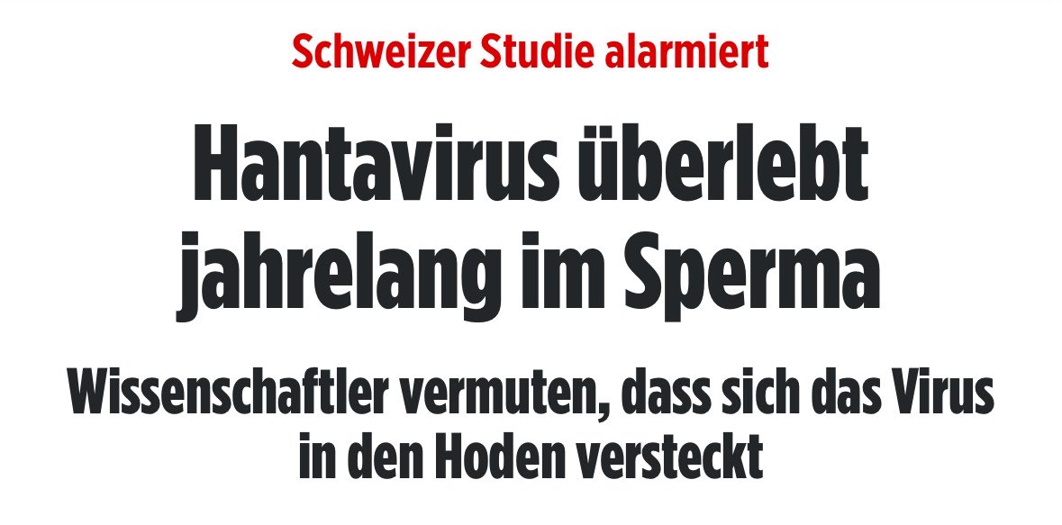 Spankoxx tweet media
