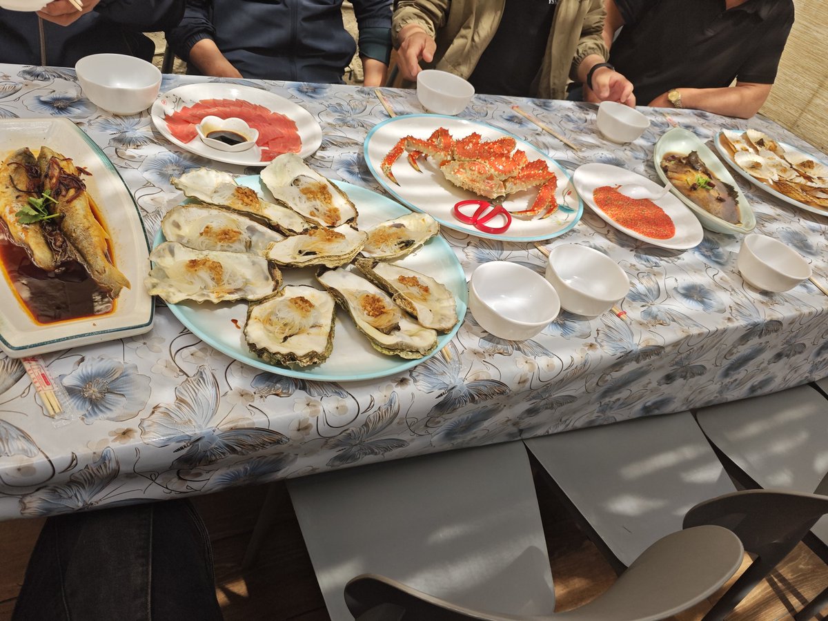 啤酒沫子🍥(srs术后) tweet media