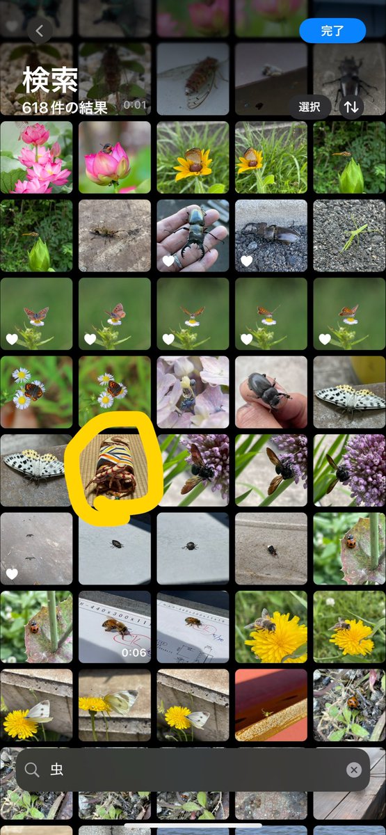 巻いている状態の写真がiPhoneに虫判定されてるゼクセクスのロゴ😂
