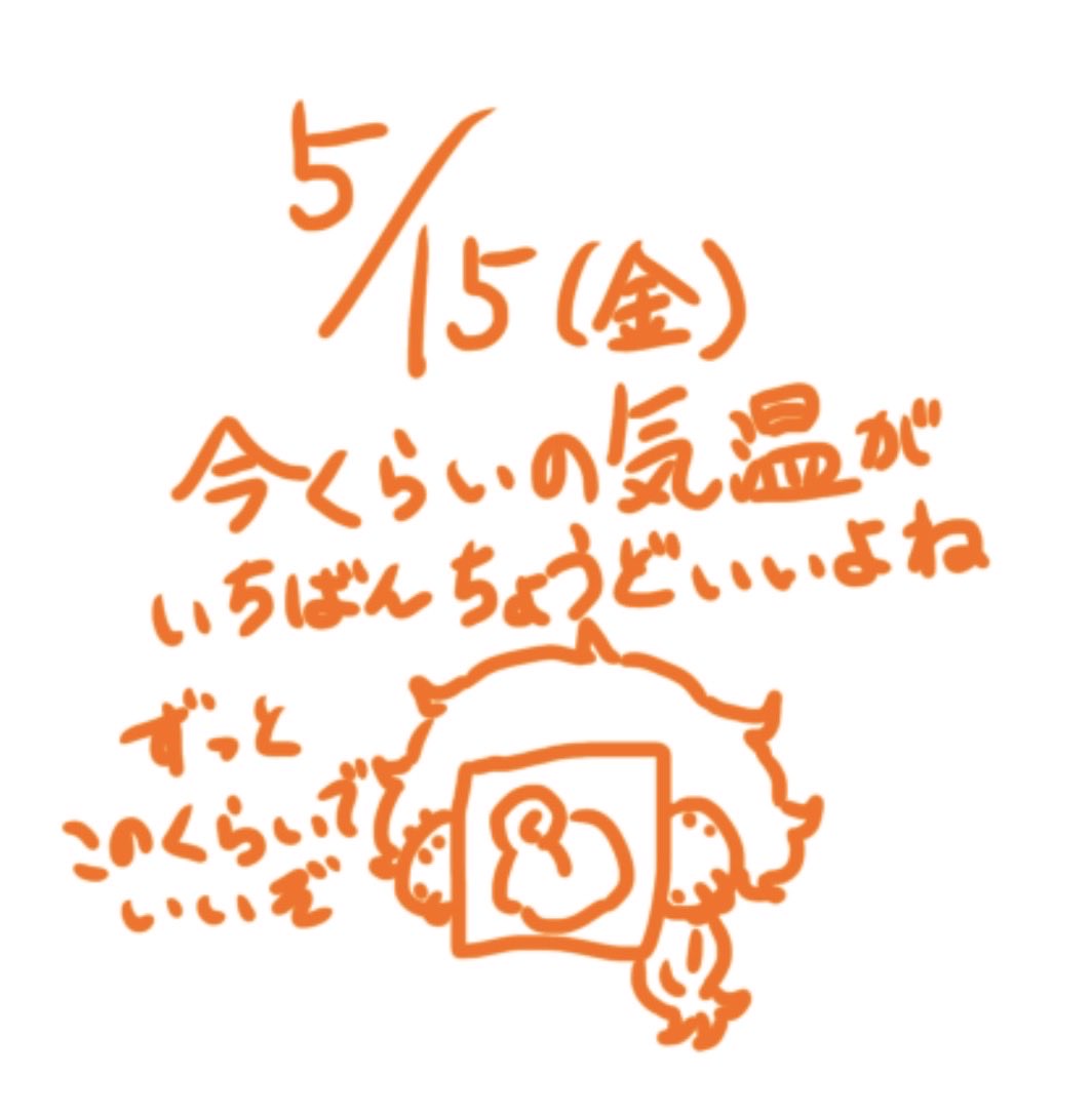 脳筋プレイまるたろう tweet media