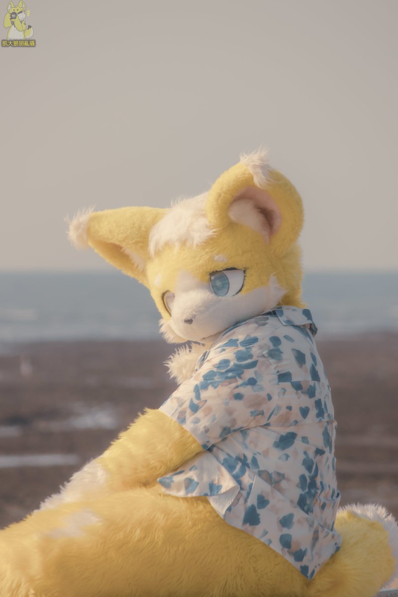 ⚡頹廢小雷⚡RAI ライ😸 tweet media