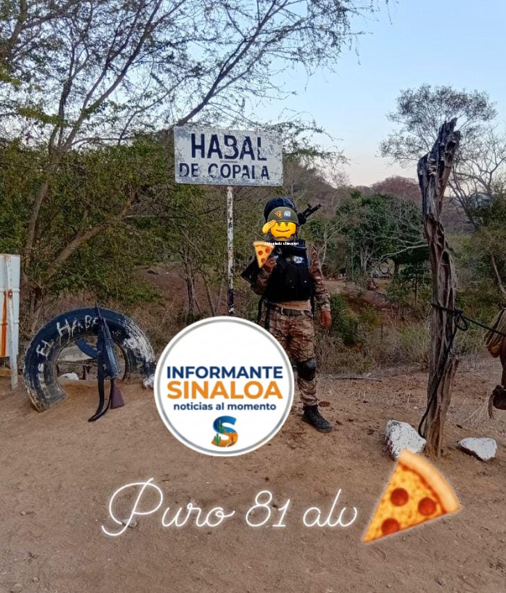 InformanteSinaloa tweet media